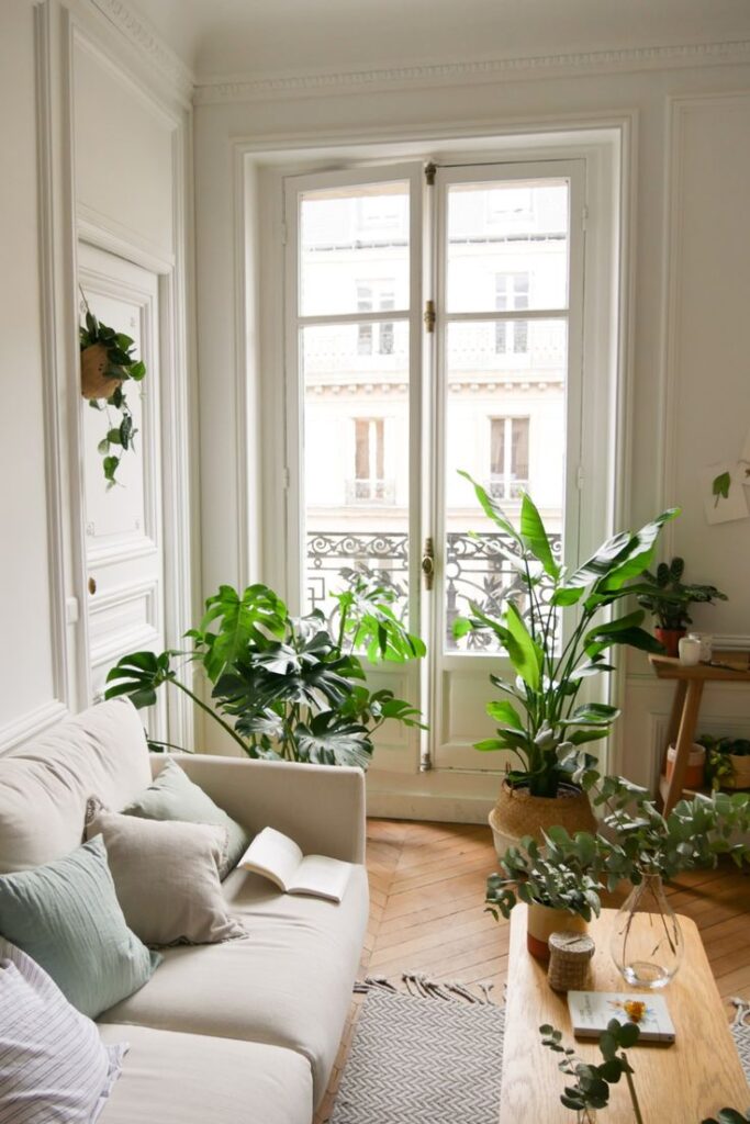 Salon avec une vue sur la fenêtre et plusieurs plantes d'intérieur