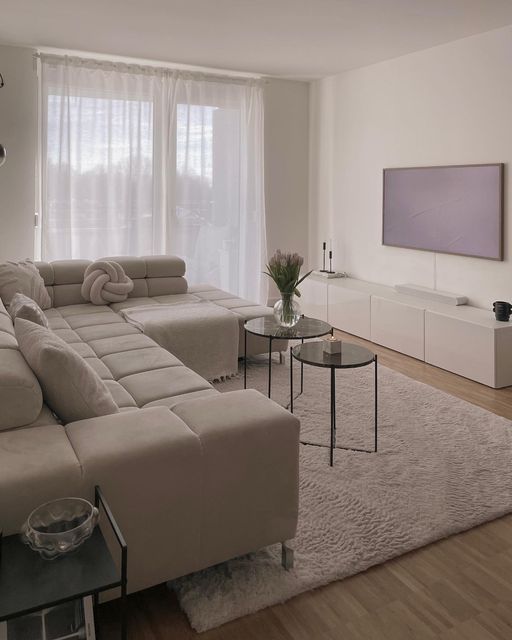 Salon minimaliste moderne avec un canapé gris